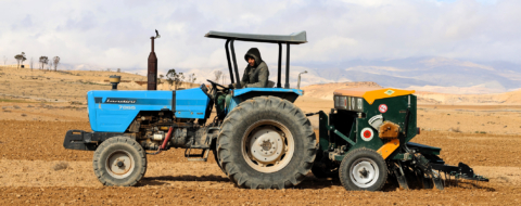 La technique du semis direct utilisée dans la province de Guercif dans le cadre de la stratégie Generation Green.