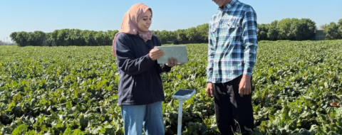 Visite d’une représentante du programme Al Moutmir dans une exploitation agricole.