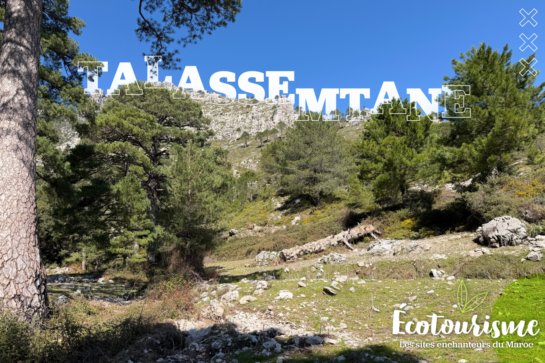Au Parc national de Talssemtane, la nature jouit de la protection de l'État et de la bienveillance des habitants.