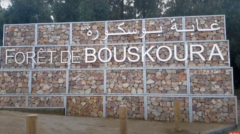 Entrée principale de la forêt de Bouskoura.