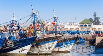 Des bateaux de pêche dans le port d'Essaouira.