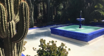 Le Jardin Majorelle. Crédit : Le Desk