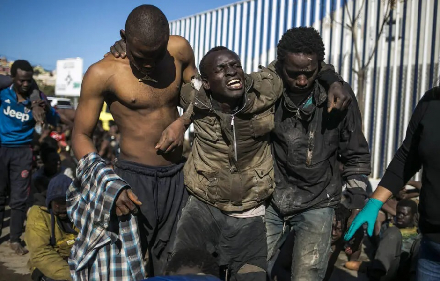 Migrants