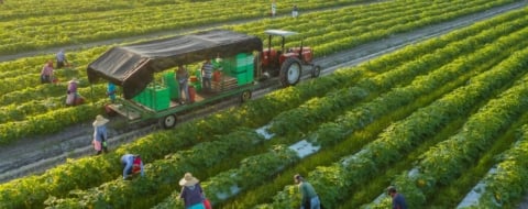 Une exploitation agricole au Maroc. Crédit : DR