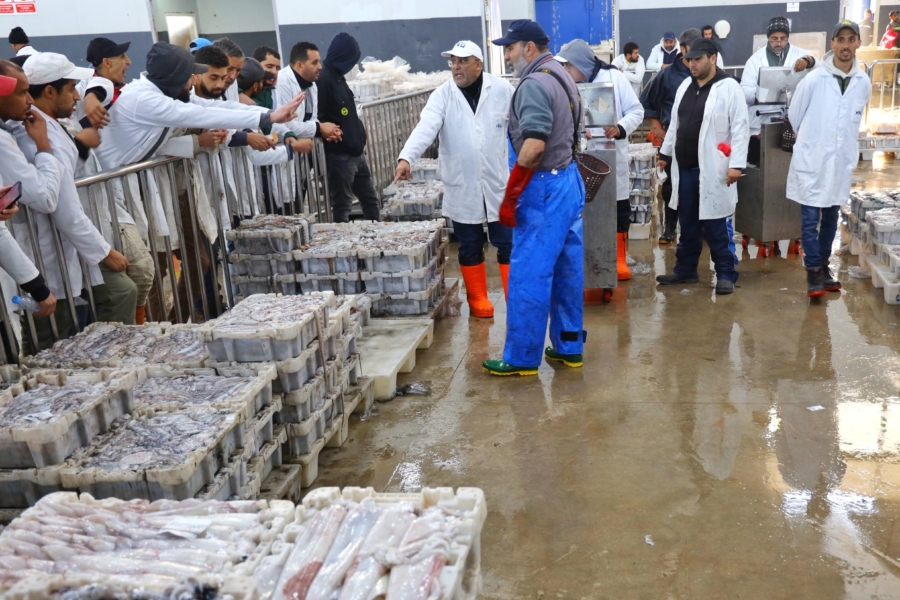 Une vente aux enchères de poissons au marché de gros de la pêche à Casablanca.