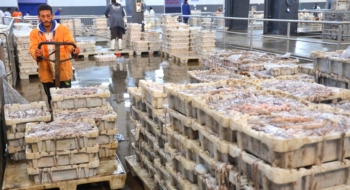 Une halle aux poissons dans une ville du sud du Maroc.