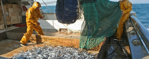 Des pêcheurs sur un chalutier russe.