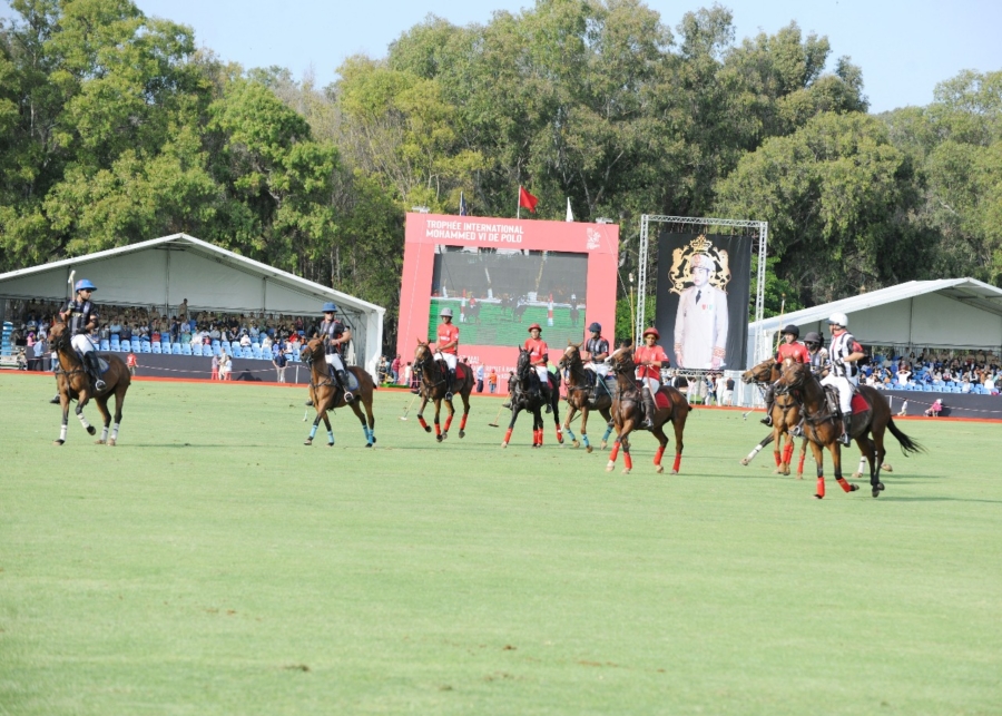 Polo