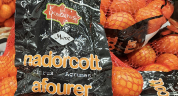 Variété Nadorcott produite par les Domaines agricoles.