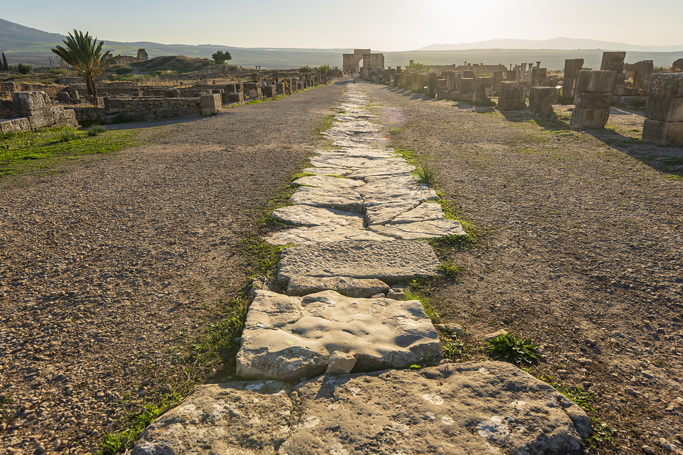 Le decumanus maximu, principale artère de la ville, qui sillonne Volubilis depuis la porte de Tingis. Crédit : Oussama Rhaleb / Le Desk