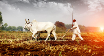 Agriculture Inde