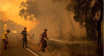 Des éléments de la Protection civile essayant de circonscrire un feu de forêt (Photo d'illustration). Crédit : DR