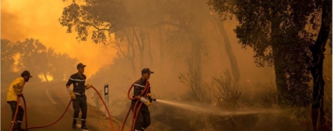 Des éléments de la Protection civile essayant de circonscrire un feu de forêt (Photo d'illustration). Crédit : DR