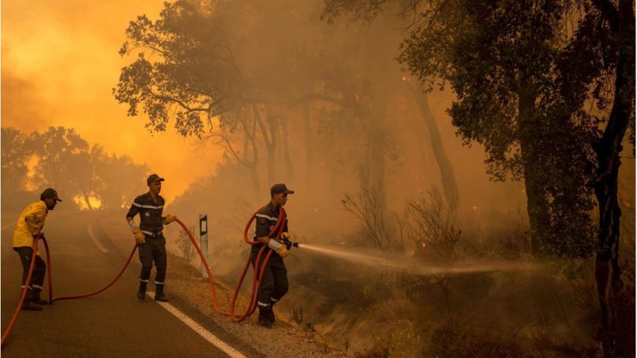 Des éléments de la Protection civile essayant de circonscrire un feu de forêt (Photo d'illustration). Crédit : DR