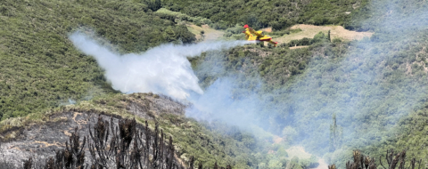 Un avion Canadair mobilisé pour maîtriser un incendie de forêt dans le nord du Maroc. Crédit: MAP