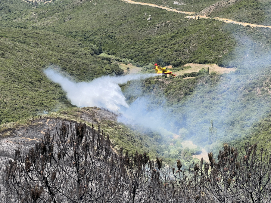 Un avion Canadair mobilisé pour maîtriser un incendie de forêt dans le nord du Maroc. Crédit: MAP