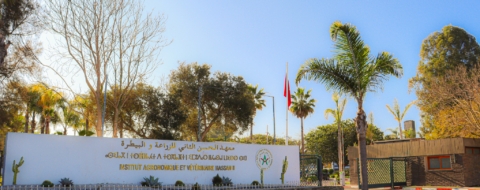 IAV Hassan II de Rabat. Crédit : IAV