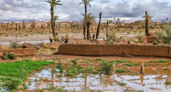 Pluies à Ouarzazate. Crédit : DR