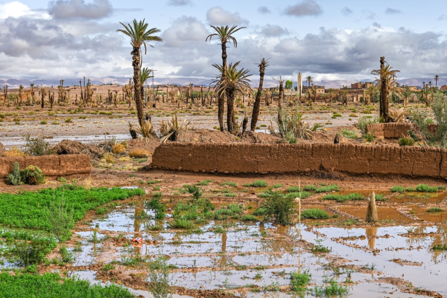 Pluies à Ouarzazate. Crédit : DR