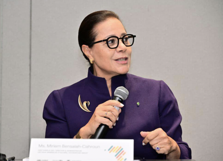 Meriem Bensalah Chaqroun, VP de LEMO à l'ONU. Crédit : DR