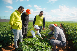 Des agriculteurs et des experts dans une exploitation agricole, dans le cadre du programme Al Moutmir.