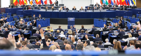 Dans l'enceinte du Parlement européen