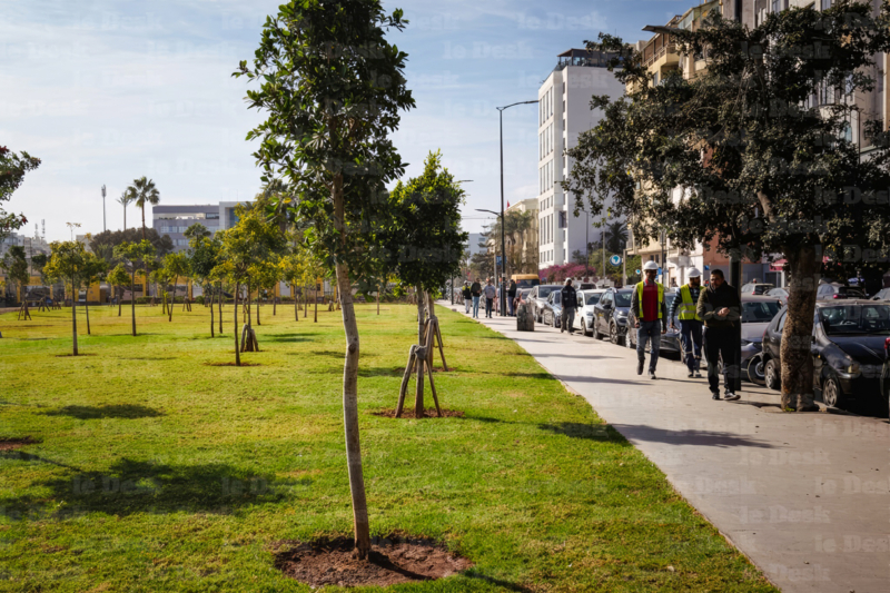 Un parc à Casablanca (photo d'illustration).