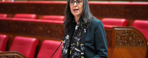 Nadia Fettah au Parlement : les investissements marocains en Afrique ont atteint 5 milliards de dirhams