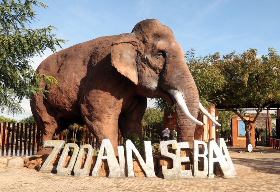 Dans une allée du Parc zoologique Aïn Sebaâ, à Casablanca. Crédit : MAP