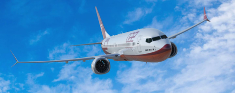 Un Boeing 737-8 de Dubai Aerospace Enterprise.