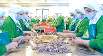 le Groupe Gil Comes, acteur de référence dans la transformation des produits de la mer à M’laleh