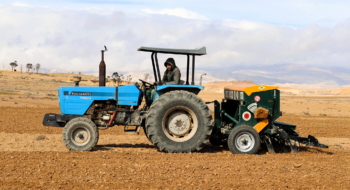 La technique du semis direct utilisée dans la province de Guercif dans le cadre de la stratégie Generation Green.