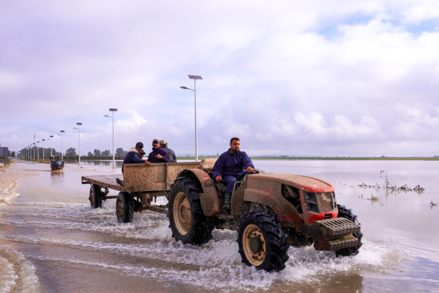 Un agriculteur circulant au volant de son tracteur sur une route inondée dans la commune d’El Houafate, relevant de la province de Sidi Kacem.