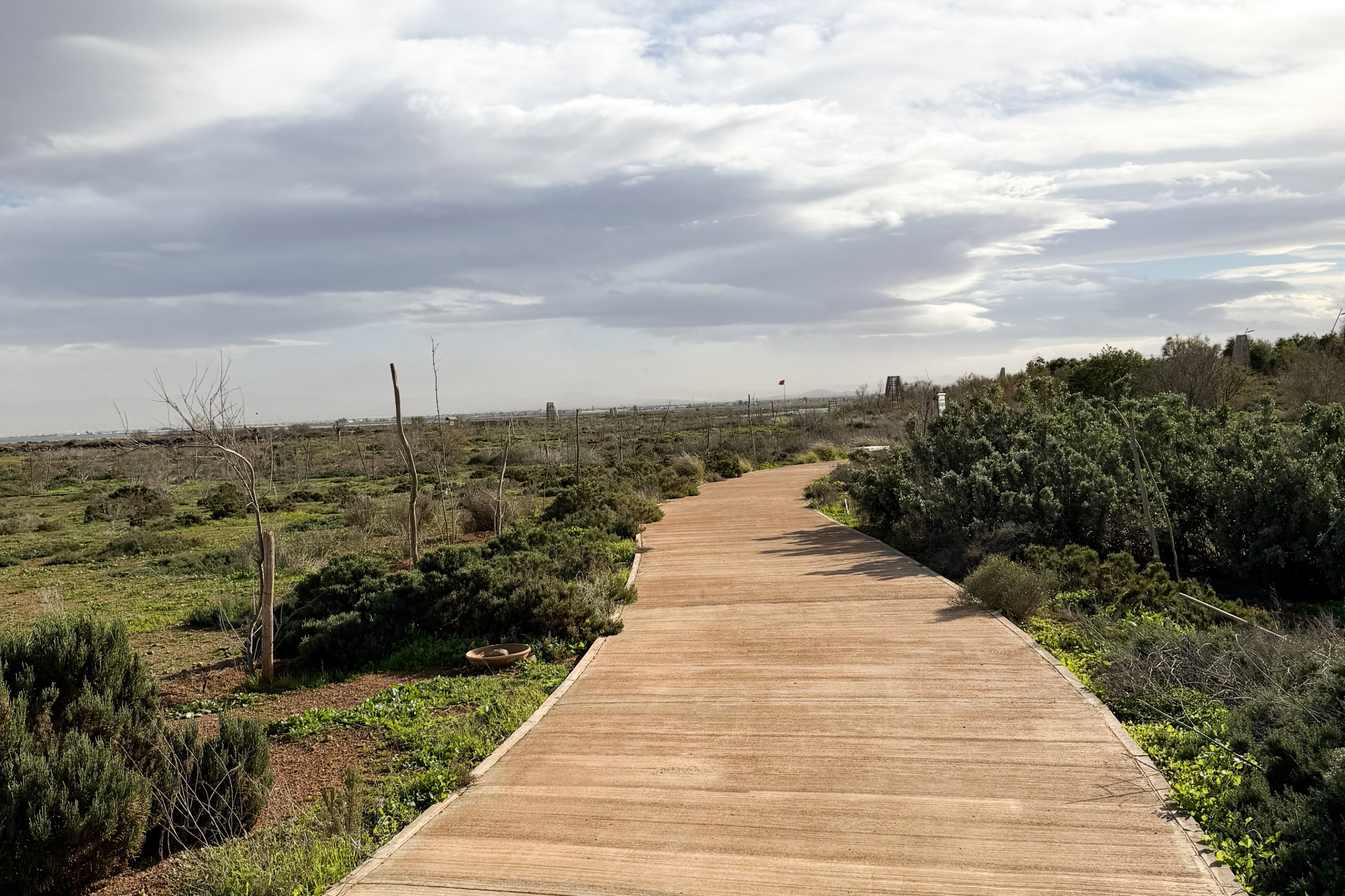 Le sentier menant vers la réserve naturelle de Marchica, refuge des oiseaux migrateurs.