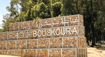 L'entrée principale de la forêt de Bouskoura.