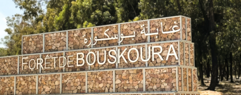 L'entrée principale de la forêt de Bouskoura.