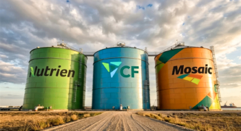 Nutrien, CF Industries et Mosaic, les trois principaux acteurs du marché américain des engrais phosphatés.