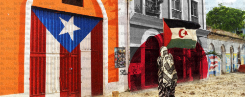le Polisario a proposé au cours des négociations un statut d’« État libre associé » pour le Sahara, inspiré du modèle de Commonwealth appliqué à Porto Rico et aux Îles Mariannes du Nord dans leur relation avec les États-Unis