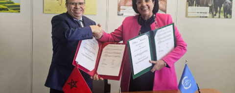 Lors de la cérémonie de signature du partenariat entre la FM6SS et l'AIEA.
