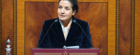 Leila Benali, ministre de la Transition énergétique et du Développement durable, devant la Chambre des représentants, le 3 février 2026.