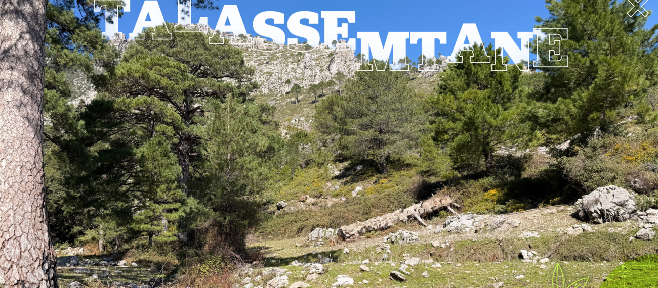 Au Parc national de Talssemtane, la nature jouit de la protection de l'État et de la bienveillance des habitants.