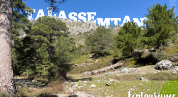 Au Parc national de Talssemtane, la nature jouit de la protection de l'État et de la bienveillance des habitants.