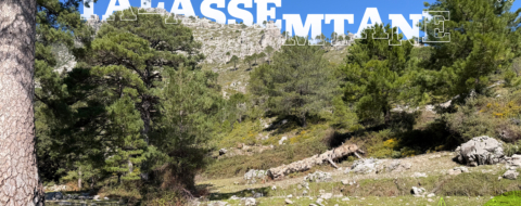 Au Parc national de Talssemtane, la nature jouit de la protection de l'État et de la bienveillance des habitants.