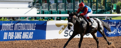 Une compétition équestre organisée par la Société royale d'encouragement du cheval (SOREC).