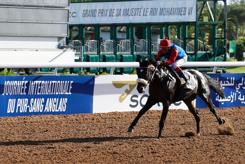 Une compétition équestre organisée par la Société royale d'encouragement du cheval (SOREC).