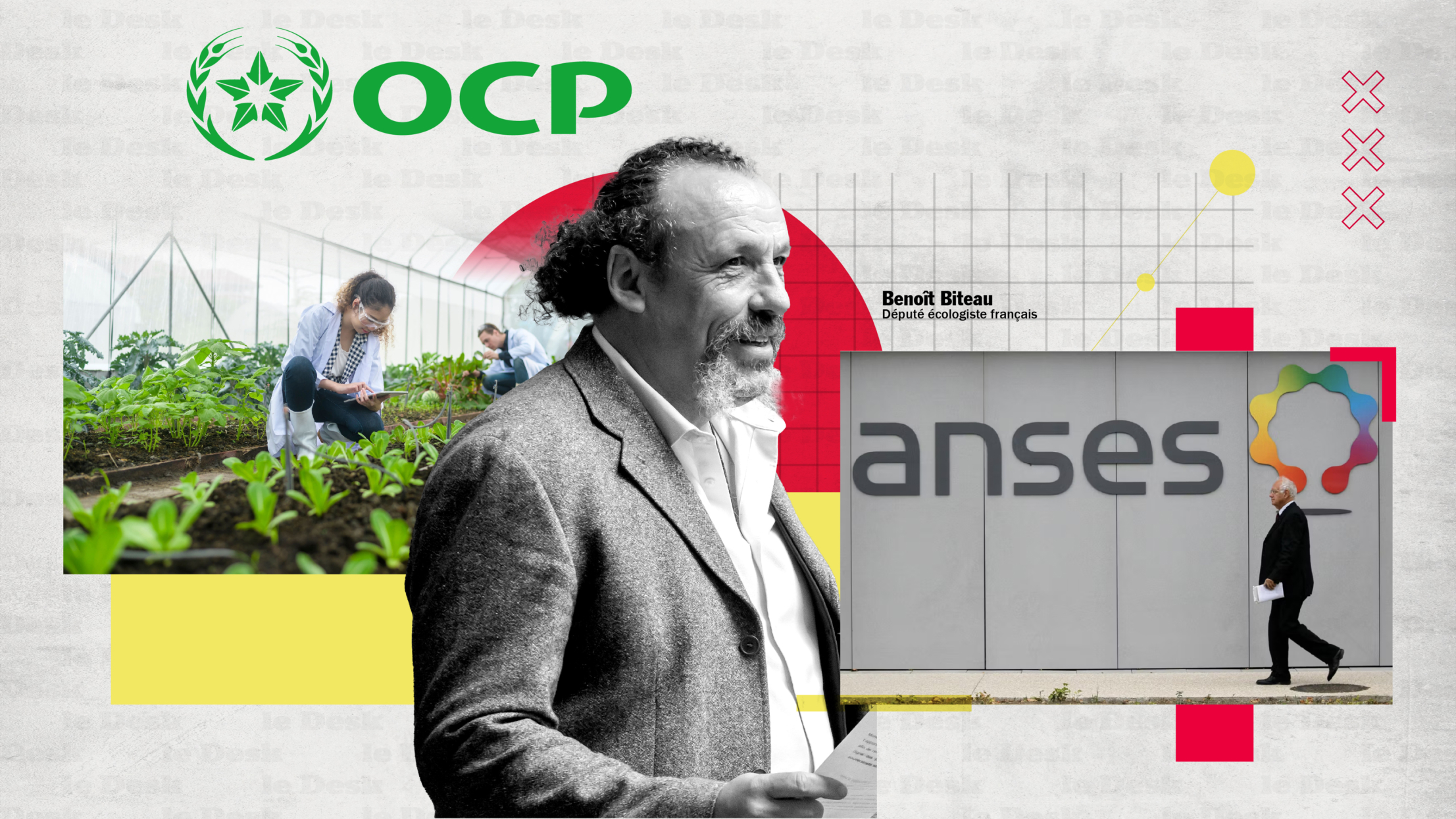 Le député écologiste français Benoît Biteau