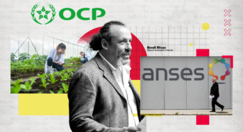 Le député écologiste français Benoît Biteau