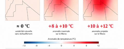 Comment évoluera le dôme de chaleur sur le Maroc.