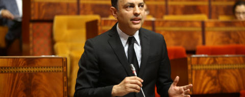 le ministre de l'Inclusion économique, de la Petite entreprise, de l'Emploi et des Compétences, Younes Sekkouri