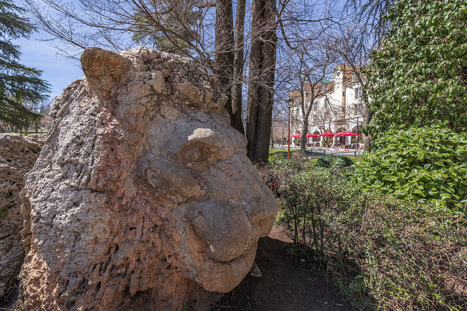 Le fameux lion sculpté, devenu l'emblème de la ville d'Ifrane.